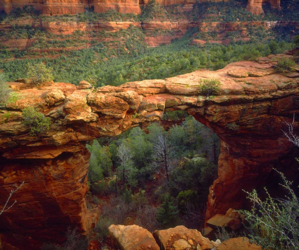 USA, Arizona, Sedona Natural sandstone bridge art print by Christopher Talbot Frank for $57.95 CAD
