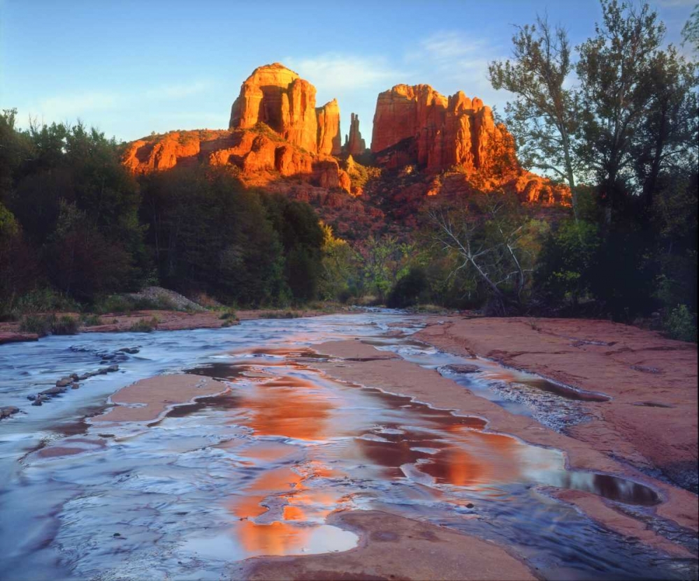 AZ, Sedona Cathedral Rock reflects in Oak Creek art print by Christopher Talbot Frank for $57.95 CAD