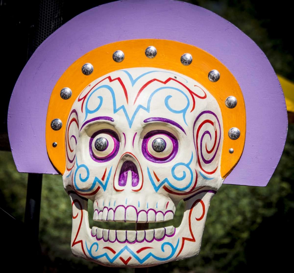 AZ, Phoenix Arty skull displayed at celebration art print by Wendy Kaveney for $57.95 CAD