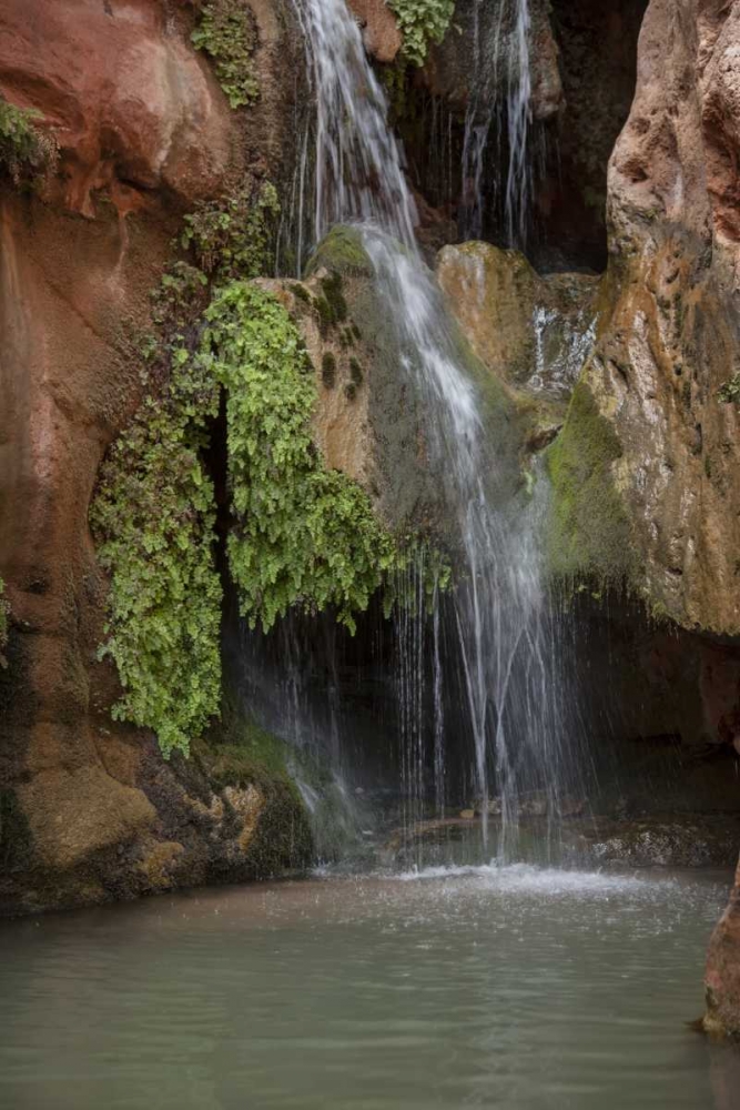 Arizona, Grand Canyon Waterfall at Elves Chasm art print by Don Grall for $57.95 CAD
