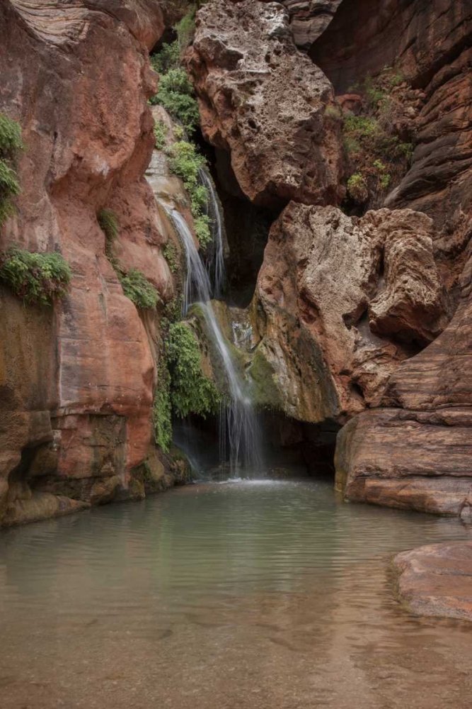 Arizona, Grand Canyon Waterfall at Elves Chasm art print by Don Grall for $57.95 CAD