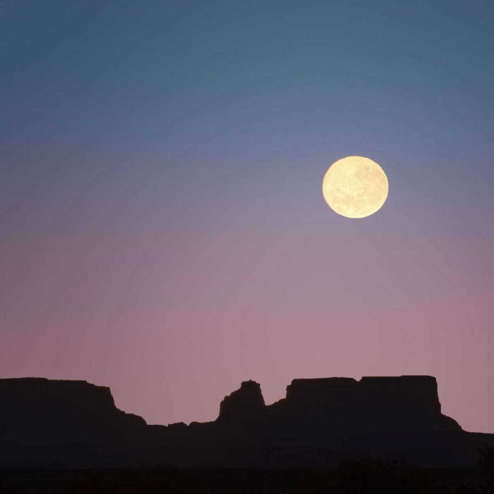 USA, Arizona Moonrise over butte art print by Don Paulson for $57.95 CAD