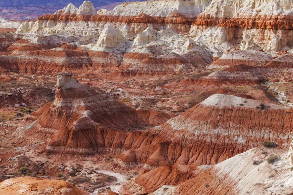 USA, Arizona A desert area called Toad Stools art print by Don Paulson for $57.95 CAD