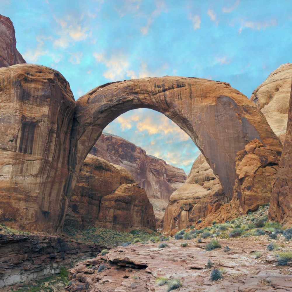 Arizona Rainbow Bridge arch in Glen Canyon NRA art print by Don Paulson for $57.95 CAD