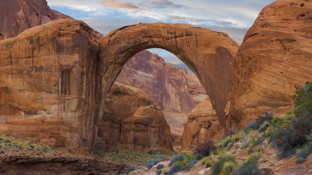 Arizona Rainbow Bridge arch in Glen Canyon NRA art print by Don Paulson for $57.95 CAD