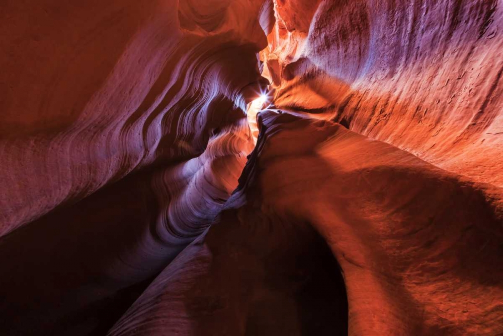 Arizona, Canyon X Formation in sandstone rock art print by Don Paulson for $57.95 CAD