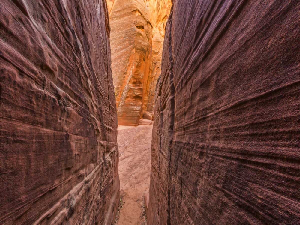 AZ, Canyon X Formations in eroded sandstone rock art print by Don Paulson for $57.95 CAD