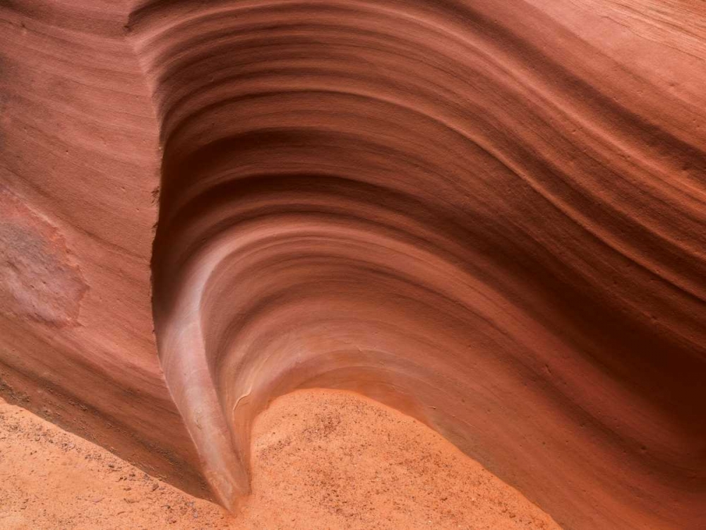 Arizona, Canyon X Formation in sandstone rock art print by Don Paulson for $57.95 CAD