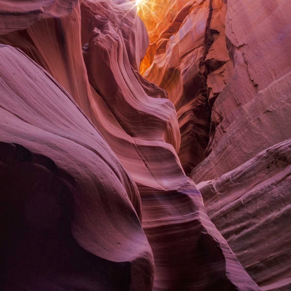 Arizona, Canyon X Formation in sandstone rock art print by Don Paulson for $57.95 CAD