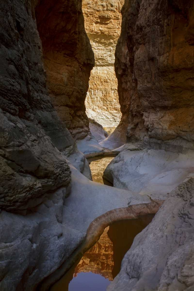 USA, Arizona, Grand Canyon NP Canyon reflections art print by Don Grall for $57.95 CAD