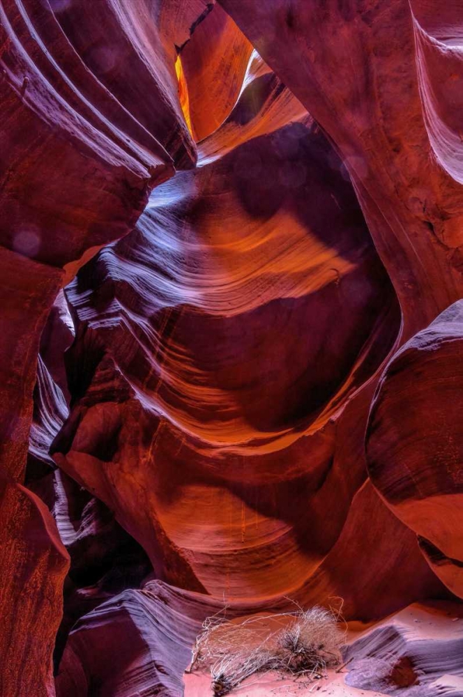 Arizona, Paige Rock patterns in Antelope Canyon art print by Jay OBrien for $57.95 CAD