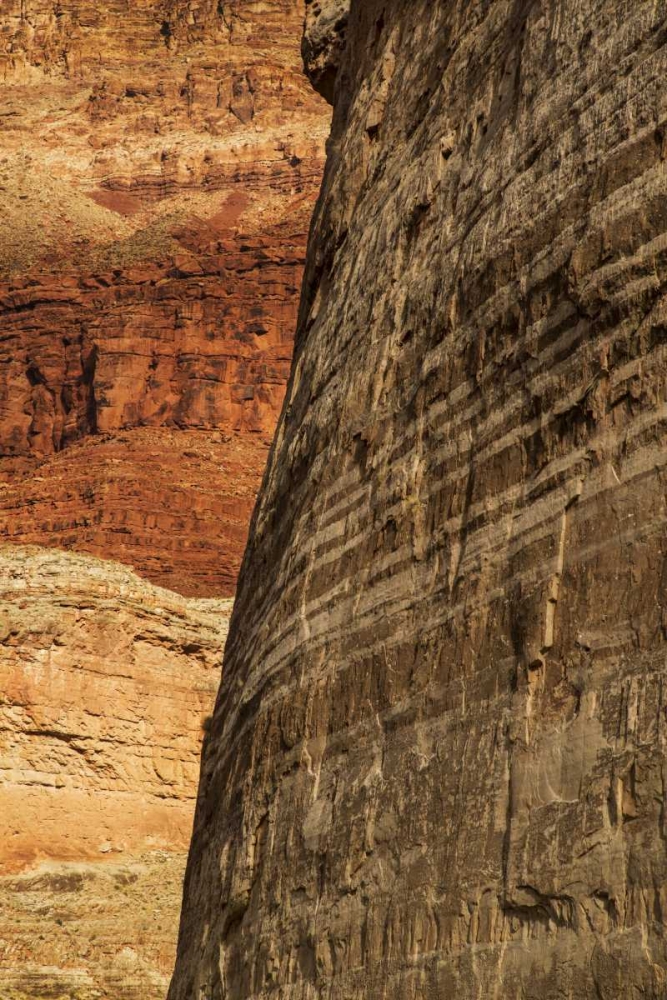 AZ, Grand Canyon, Sandstone wall in Marble Canyon art print by Don Grall for $57.95 CAD