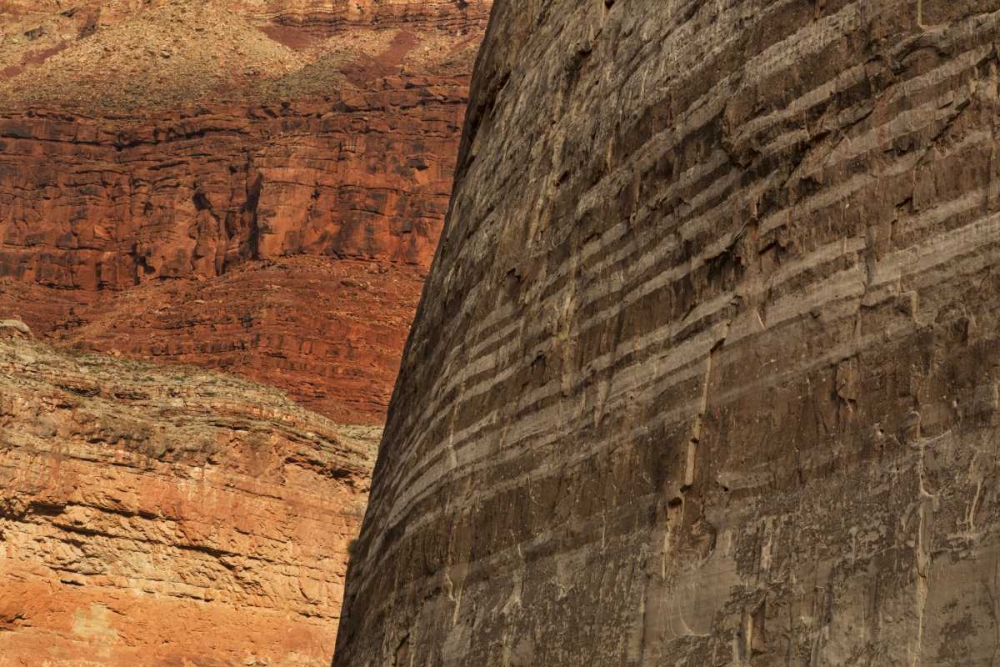 AZ, Grand Canyon, Sandstone wall in Marble Canyon art print by Don Grall for $57.95 CAD