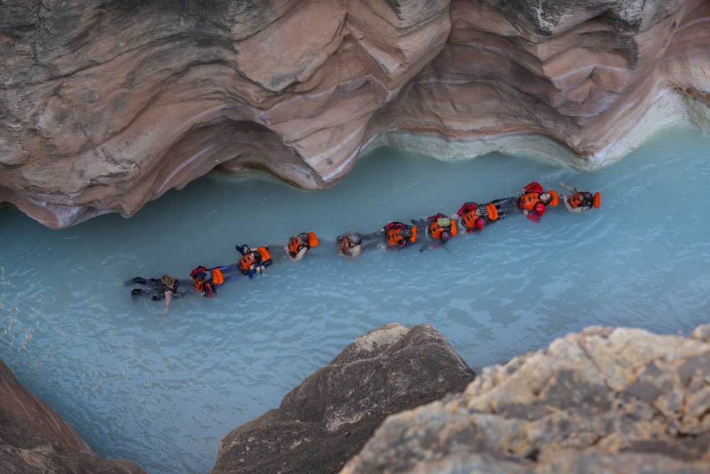 AZ, Grand Canyon, Students float on Havasu Creek art print by Don Grall for $57.95 CAD