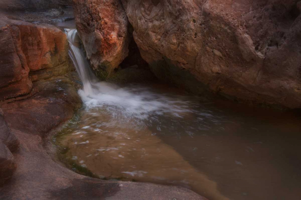 Arizona, Grand Canyon Flowing Royal Arch Creek art print by Don Grall for $57.95 CAD