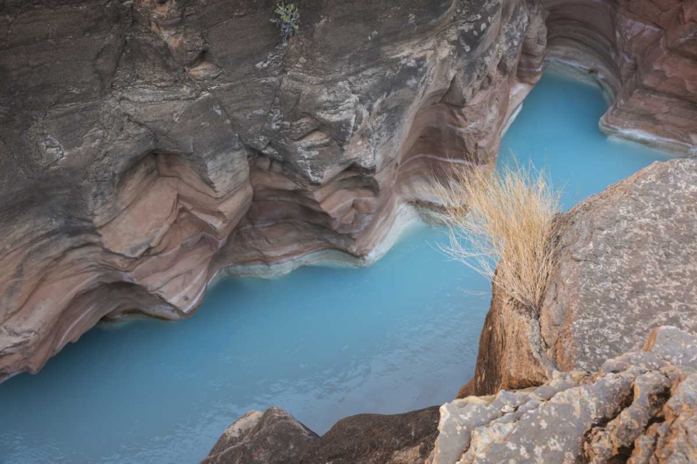 AZ, Grand Canyon, Havasu Creeks through a gorge art print by Don Grall for $57.95 CAD