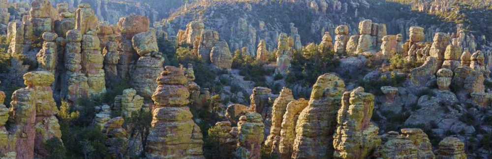 AZ, Chiricahua NM Panoramic of rocky landscape art print by Don Paulson for $57.95 CAD