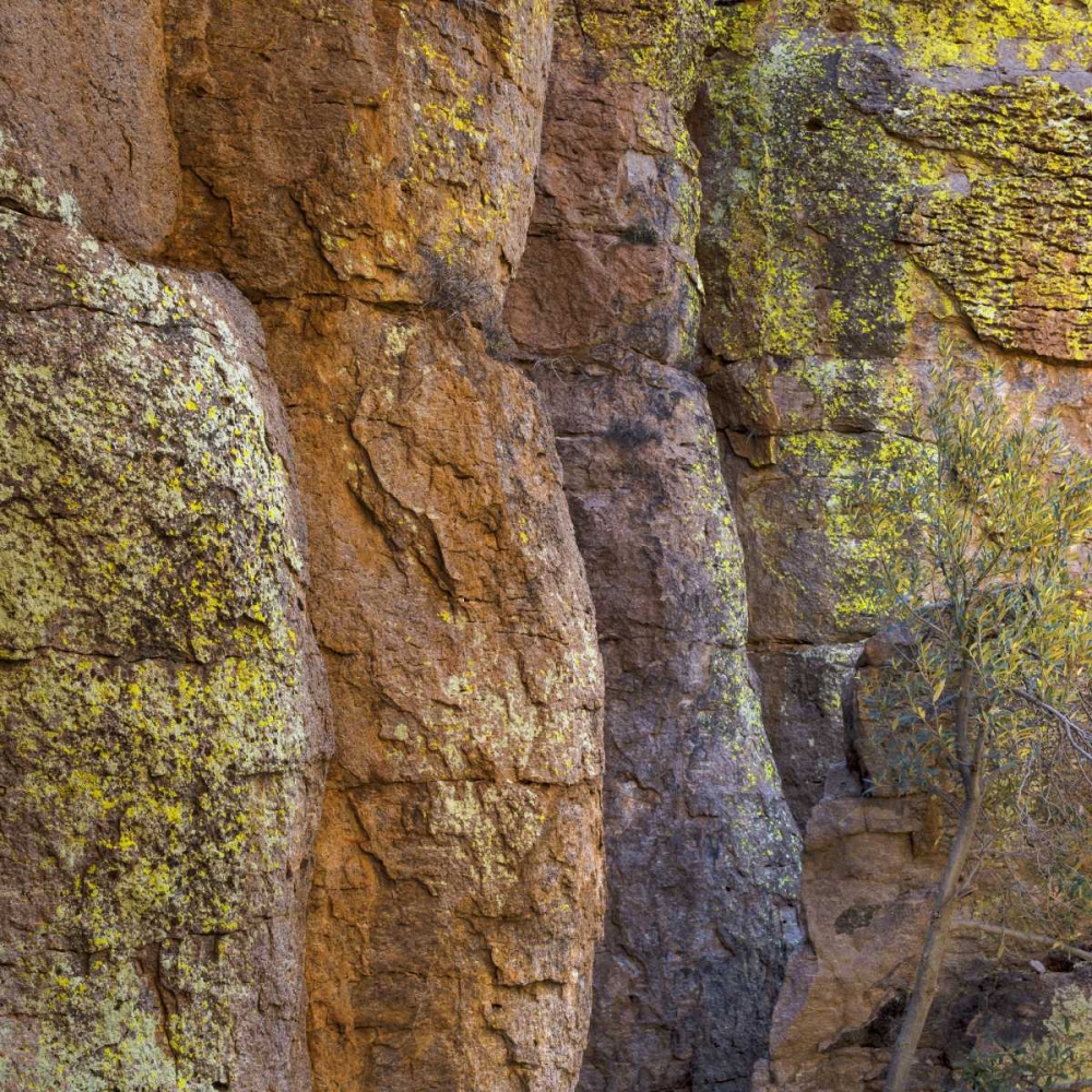 Arizona, Chiricahua National Monument Cliff face art print by Don Paulson for $57.95 CAD
