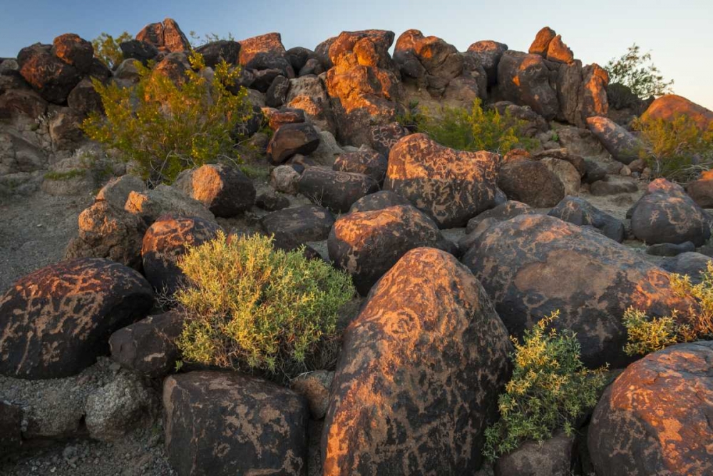 Arizona, Painted Rocks Rocks with petroglyphs art print by Cathy and Gordon Illg for $57.95 CAD