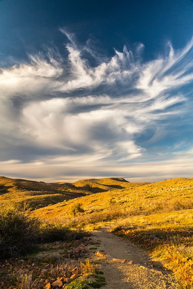 Arizona-Globe Desert landscape in Round Mountain Park art print by Jaynes Gallery for $57.95 CAD