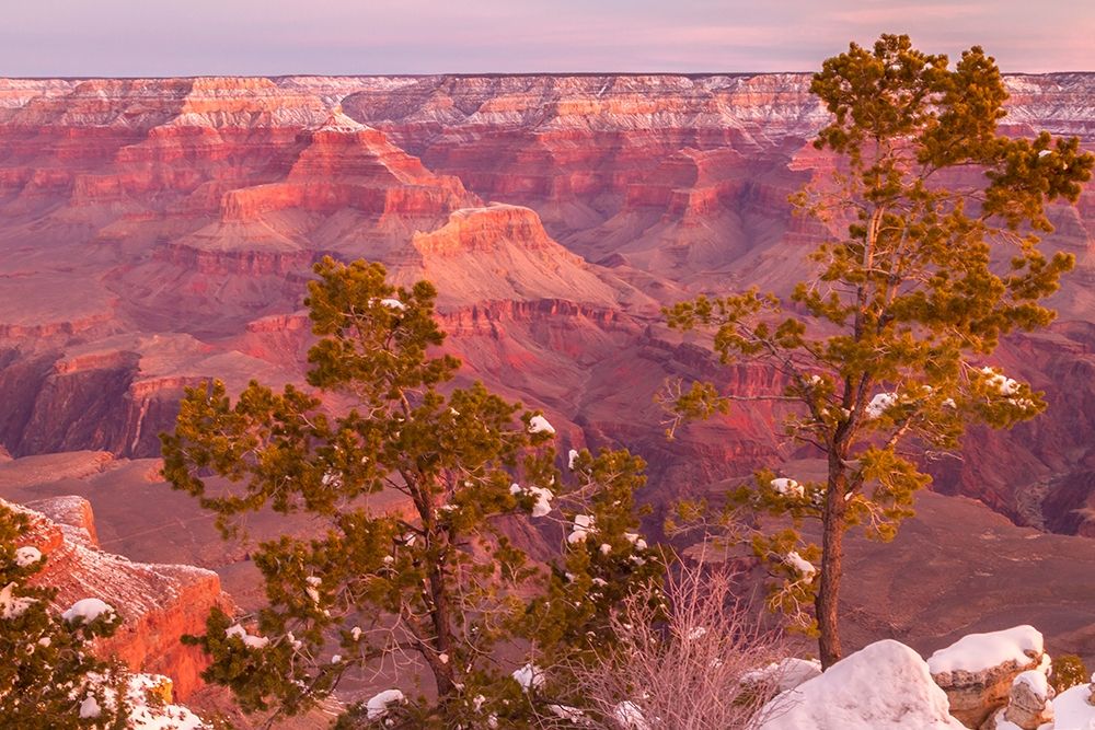 Arizona-Grand Canyon National Park Sunrise on Mather Point art print by Jaynes Gallery for $57.95 CAD