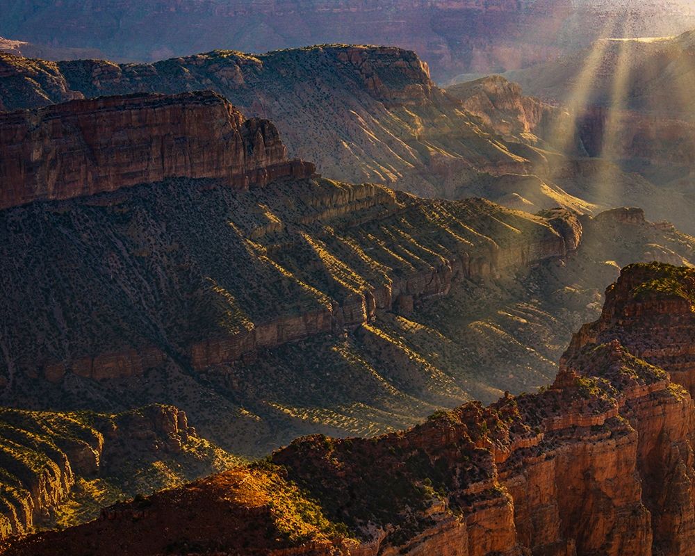 Arizona-Grand Canyon National Park North Rim of Grand Canyon at sunrise art print by Jaynes Gallery for $57.95 CAD