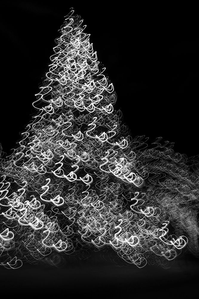 USA-Arizona-Buckeye-Black and white abstract motion of Christmas tree at night art print by Jaynes Gallery for $57.95 CAD