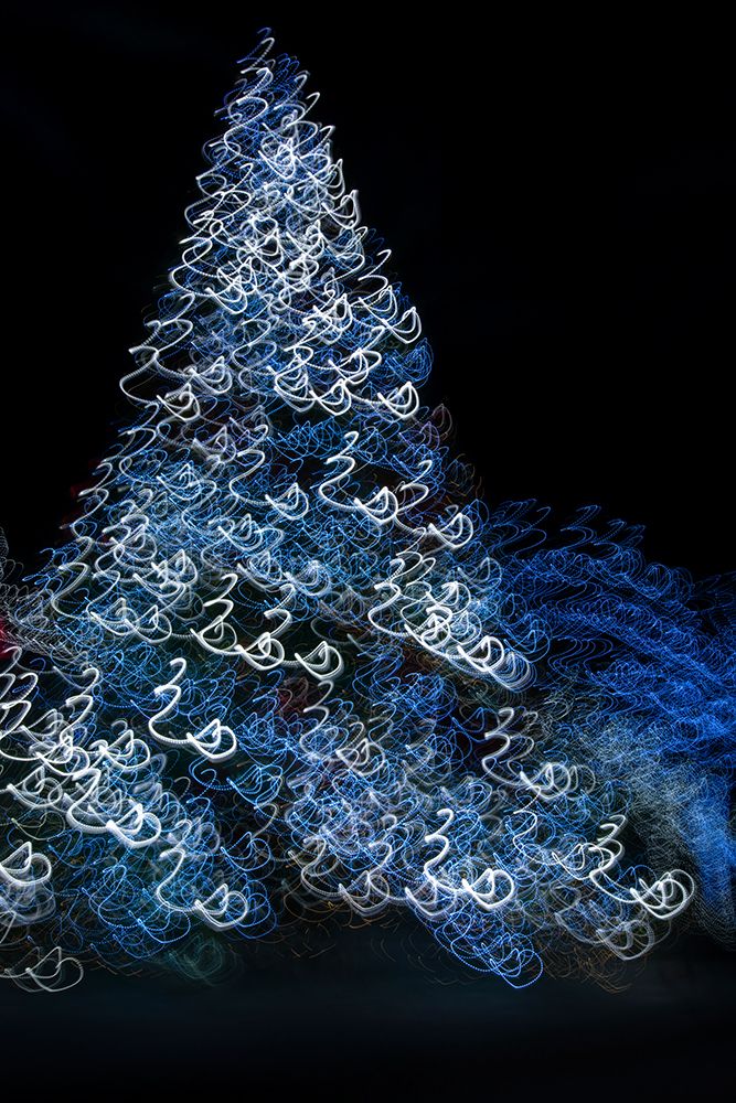 USA-Arizona-Buckeye-Abstract motion of Christmas tree at night art print by Jaynes Gallery for $57.95 CAD