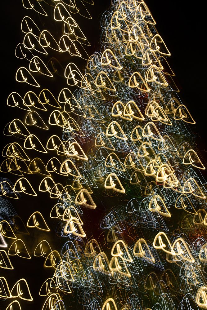 USA-Arizona-Buckeye-Abstract motion of Christmas tree at night art print by Jaynes Gallery for $57.95 CAD