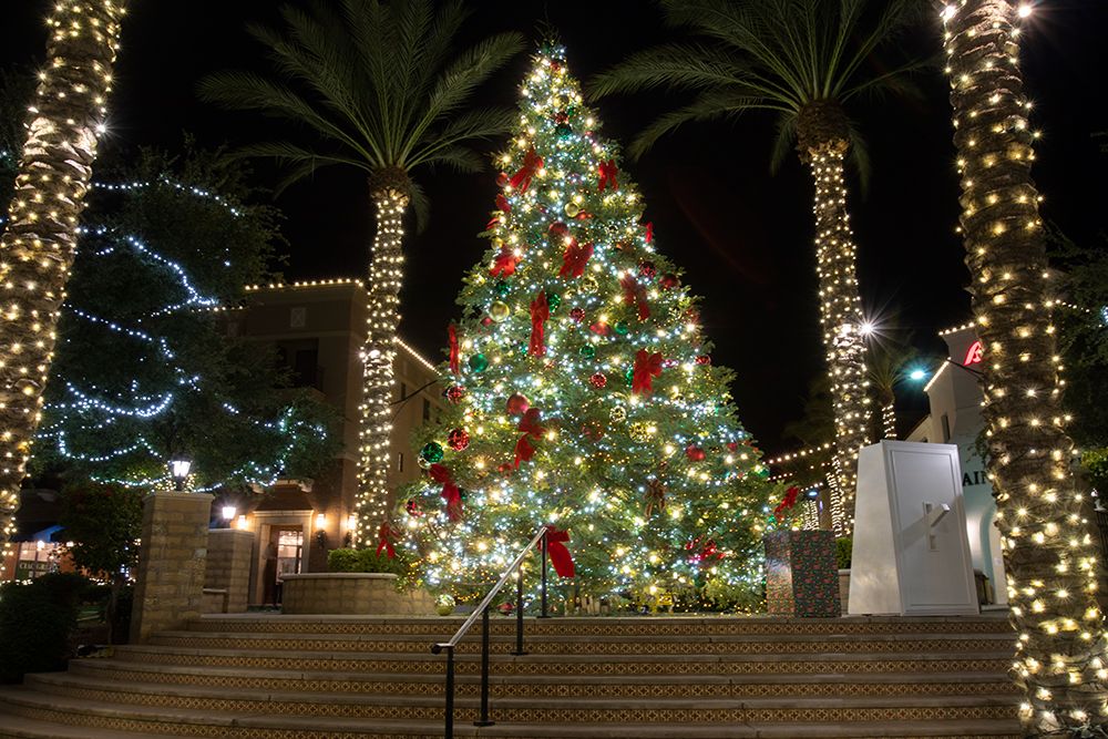 USA-Arizona-Buckeye-Christmas tree in the village square at night art print by Jaynes Gallery for $57.95 CAD