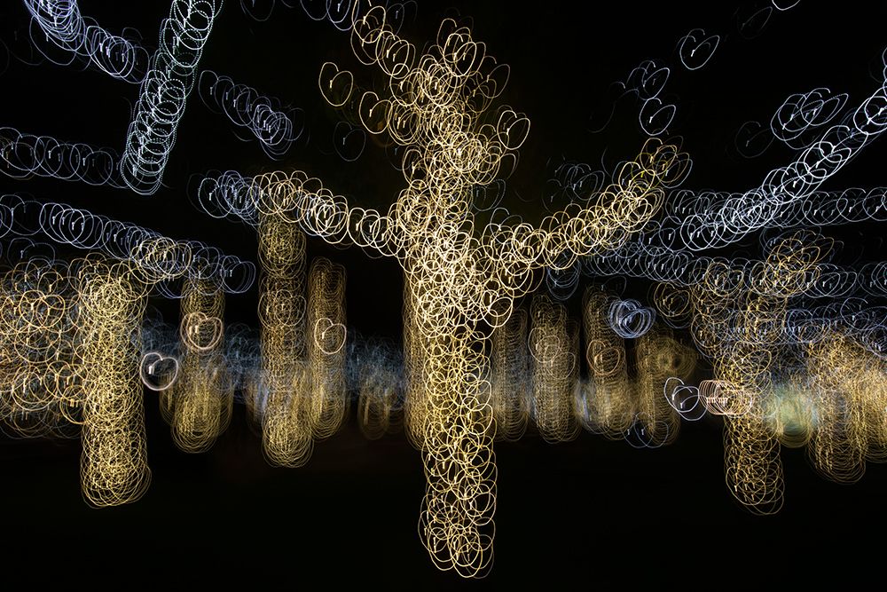 USA-Arizona-Buckeye-Abstract of decorated trees at night during Christmas art print by Jaynes Gallery for $57.95 CAD