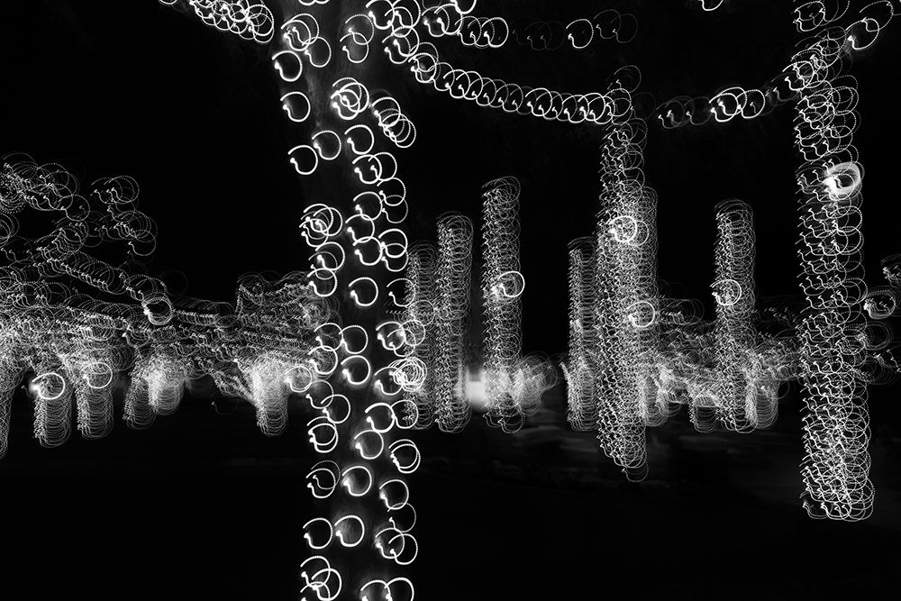 USA-Arizona-Buckeye-Black and white abstract of decorated trees at night during Christmas art print by Jaynes Gallery for $57.95 CAD