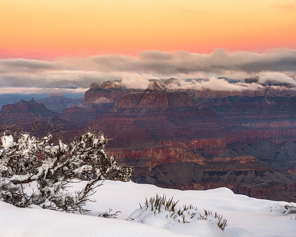 USA-Arizona-Grand Canyon-Winter sunrise on canyon art print by Jaynes Gallery for $57.95 CAD