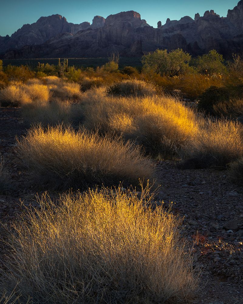 USA-Arizona-Kofa National Wildlife Area-Mountain and desert landscape at sunrise art print by Jaynes Gallery for $57.95 CAD