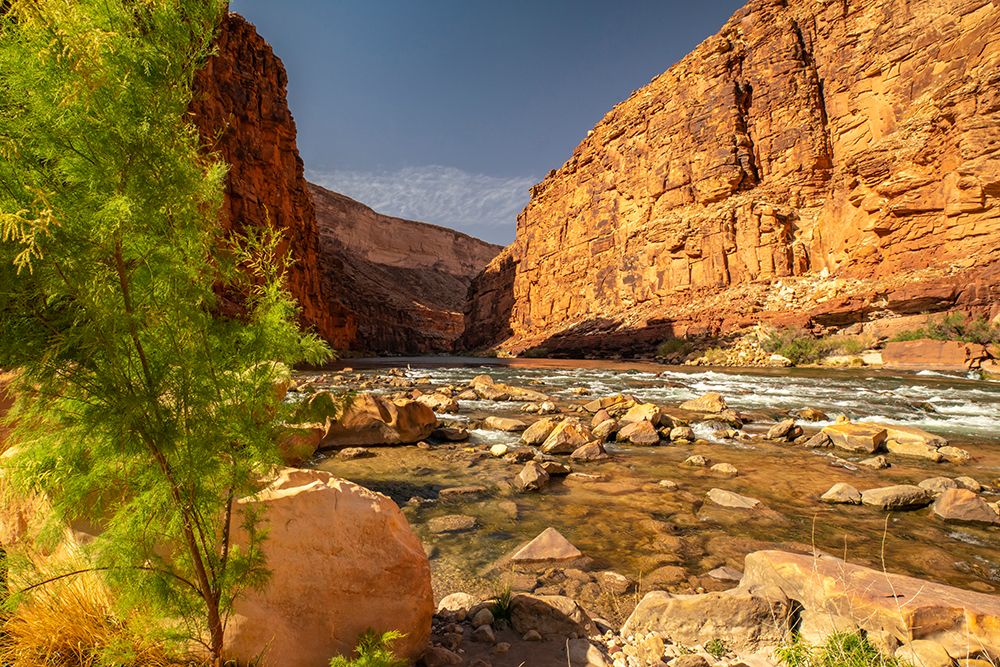 USA-Arizona-Grand Canyon National Park House Rock Rapid in Marble Canyon art print by Jaynes Gallery for $57.95 CAD
