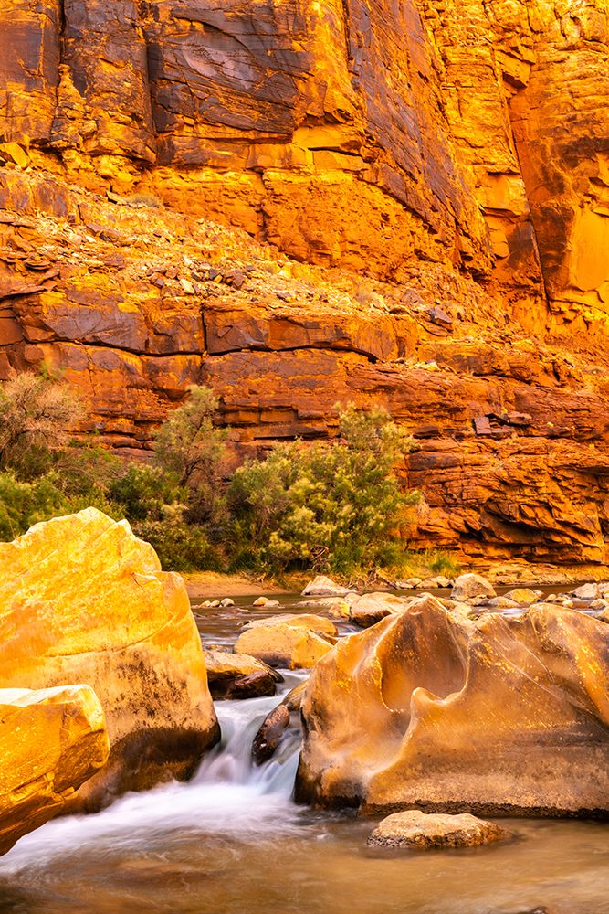 USA-Arizona-Grand Canyon National Park House Rock Rapid in Marble Canyon art print by Jaynes Gallery for $57.95 CAD