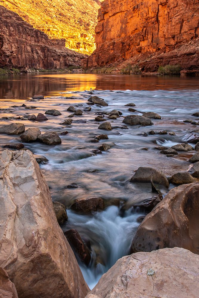 USA-Arizona-Grand Canyon National Park House Rock Rapid in Marble Canyon art print by Jaynes Gallery for $57.95 CAD