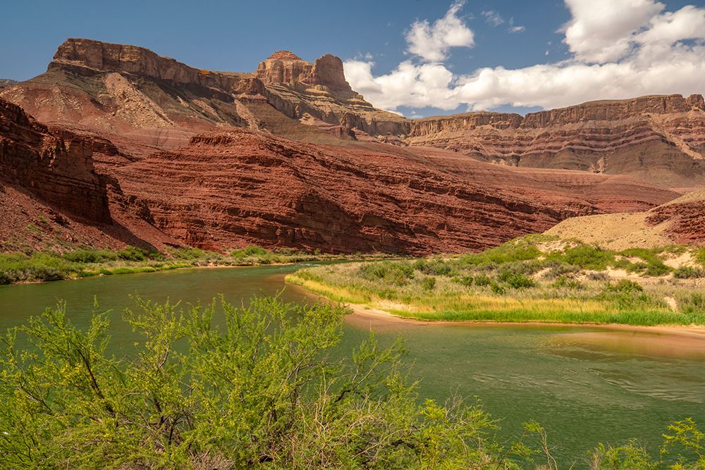 USA-Arizona-Grand Canyon National Park Landscape with cliffs and Colorado River art print by Jaynes Gallery for $57.95 CAD