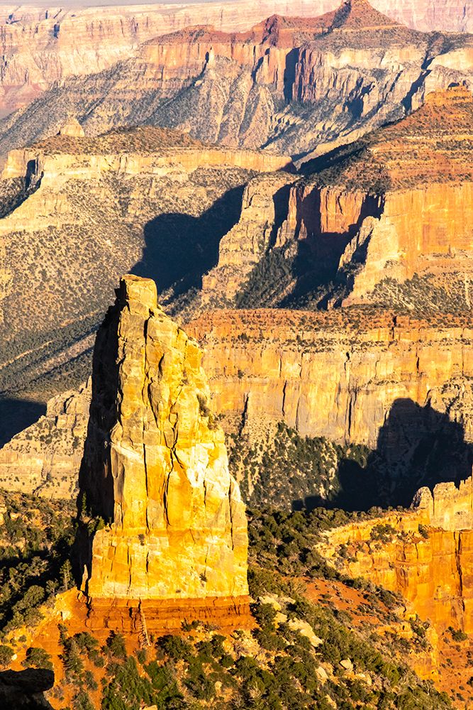 USA-Arizona-Grand Canyon National Park Landscape from North Rim of Point Imperial art print by Jaynes Gallery for $57.95 CAD