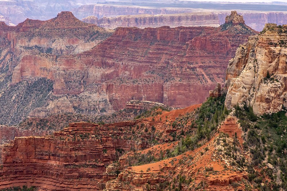 USA-Arizona-Grand Canyon National Park Landscape from North Rim of Roosevelt Point art print by Jaynes Gallery for $57.95 CAD