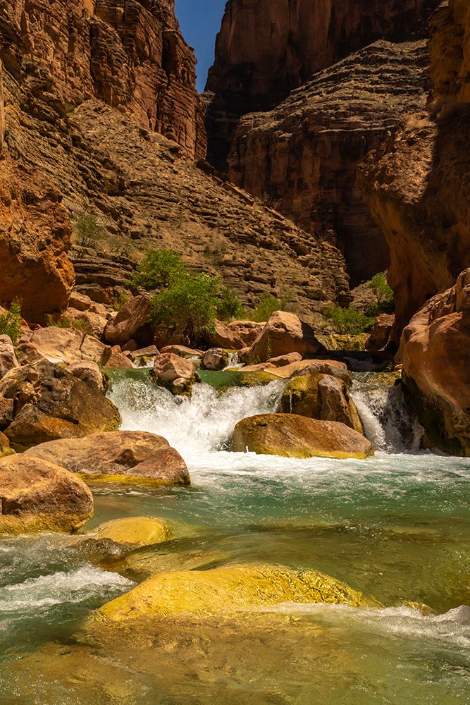 USA-Arizona-Grand Canyon National Park Havasu Creek on Colorado River art print by Jaynes Gallery for $57.95 CAD