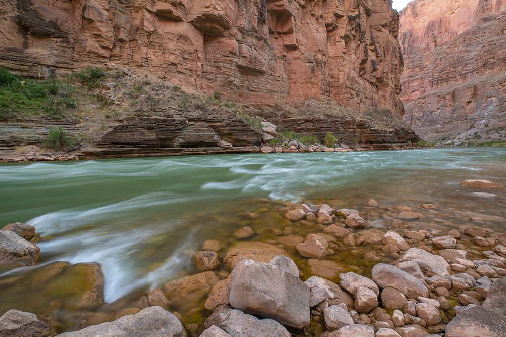 USA-Arizona-Grand Canyon National Park Fern Glen Rapid on Colorado River art print by Jaynes Gallery for $57.95 CAD