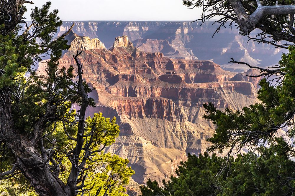 USA-Arizona-Grand Canyon National Park Landscape from North Rim of Bright Angel Point art print by Jaynes Gallery for $57.95 CAD