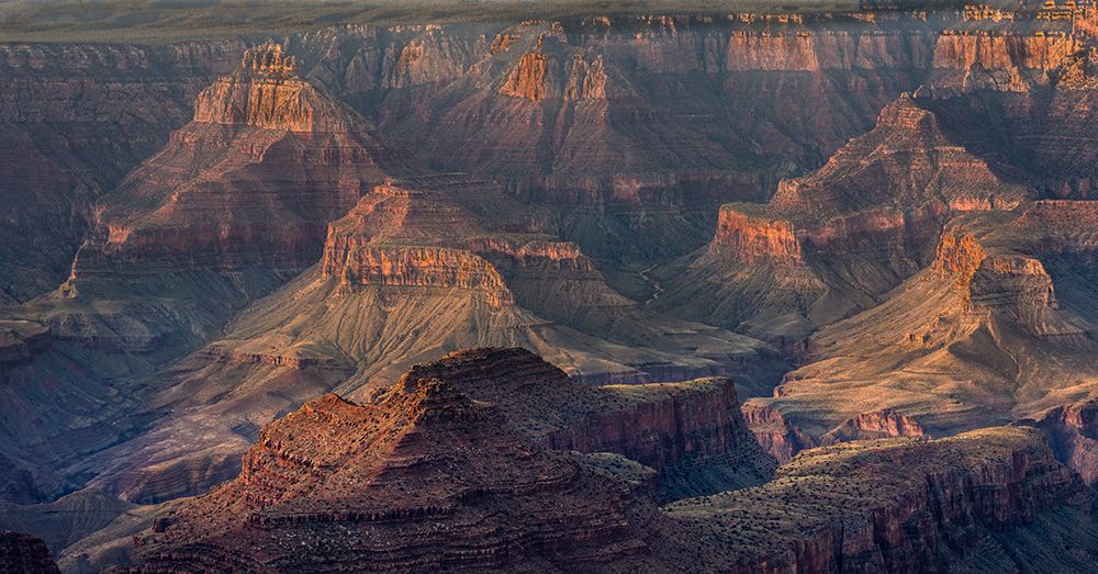 USA-Arizona-Grand Canyon National Park Canyon panoramic at sunrise art print by Jaynes Gallery for $57.95 CAD