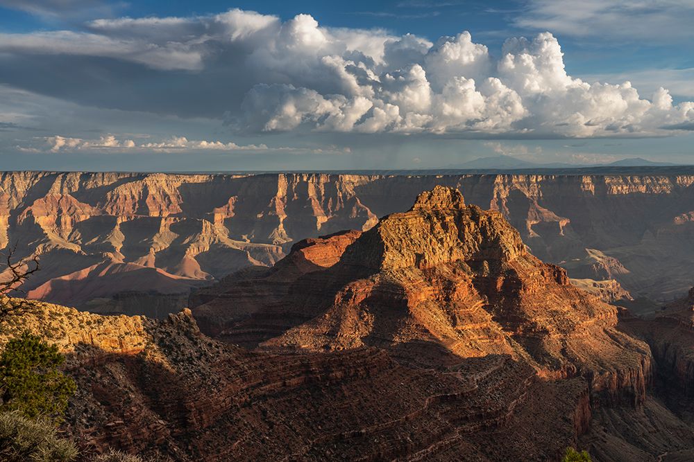 USA-Arizona-Grand Canyon National Park Landscape with North Rim canyon formations at sunset art print by Jaynes Gallery for $57.95 CAD
