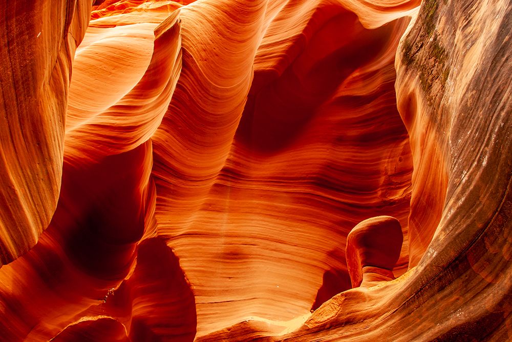 USA-Arizona-Lake Powell Navajo Tribal Park Slot canyon rock patterns in Rattlesnake Canyon art print by Jaynes Gallery for $57.95 CAD
