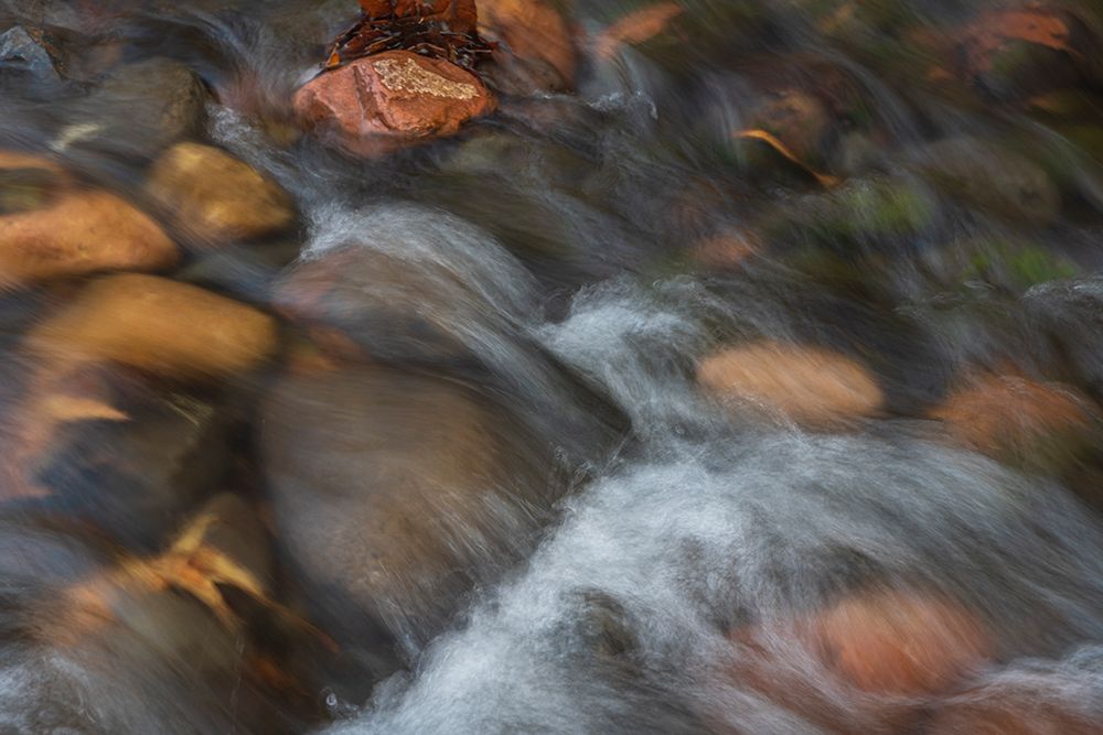 USA, Arizona. Close-up of stream rapids. art print by Jaynes Gallery for $57.95 CAD