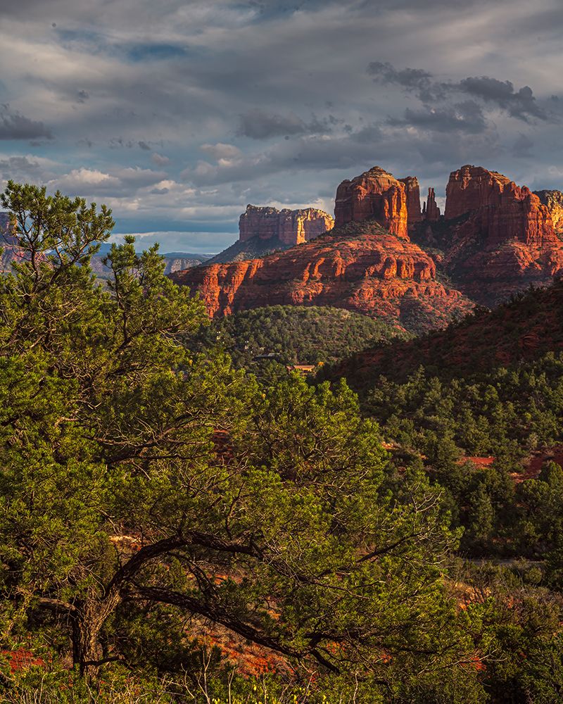 USA, Arizona. Sunrise on mountain and valley landscape. art print by Jaynes Gallery for $57.95 CAD
