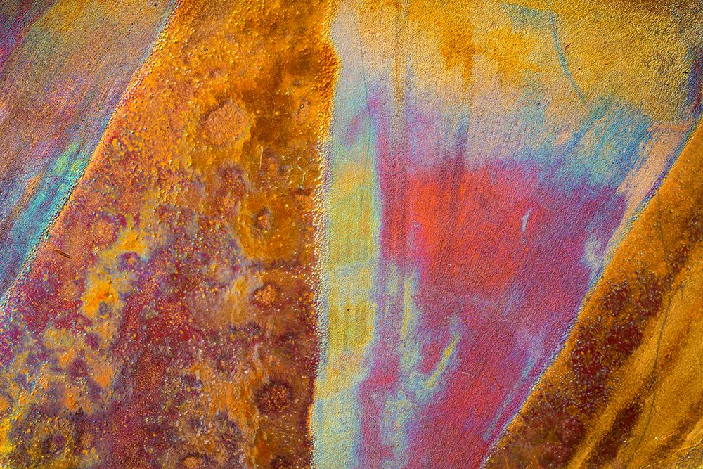 USA, Arizona, Tucson. Abstract rust and paint patterns on metal plate. art print by Jaynes Gallery for $57.95 CAD