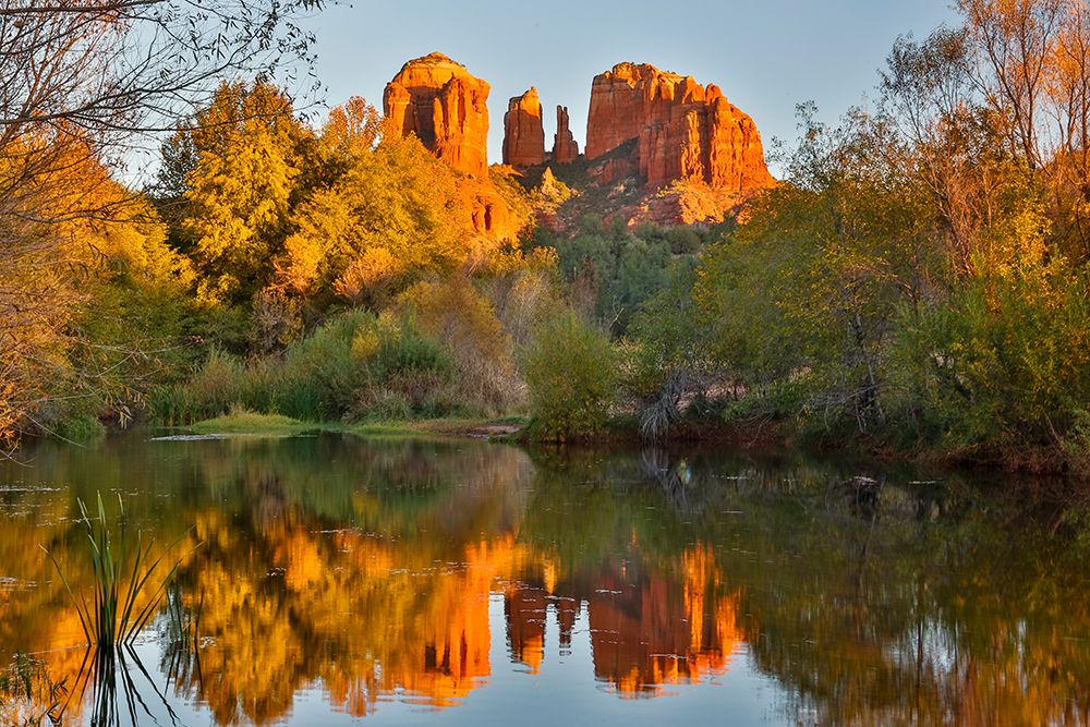 USA- Arizona. Red Rock State Park with Oak Creek and Cathedral Rock art print by Darrell Gulin for $57.95 CAD